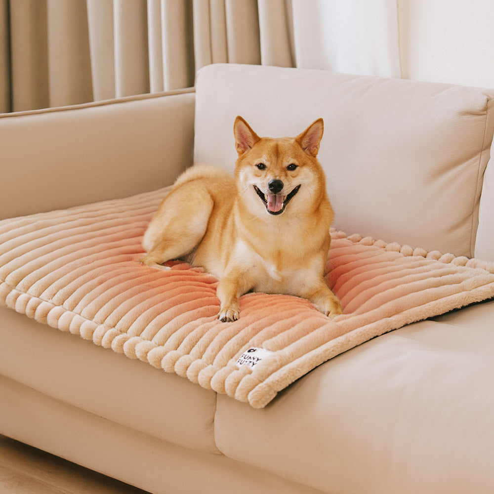 Fluffy Faux Rabbit Fur Washable Warm Pet Mat