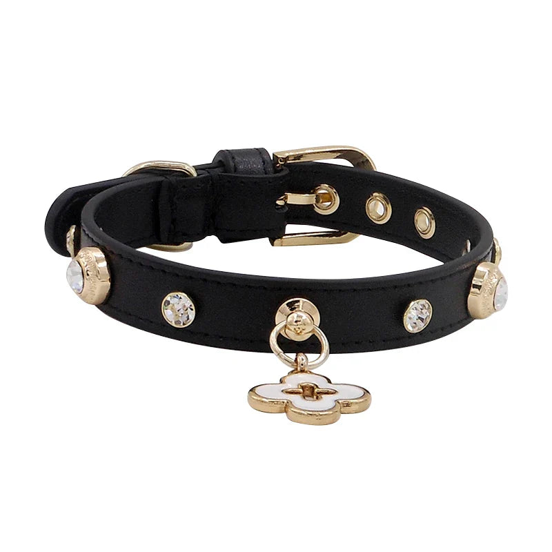 Luxurious Genuine Leather Pet Collars with Charm- Perfect for Chihuahuas, Yorkies, Poodles, Pomeranians