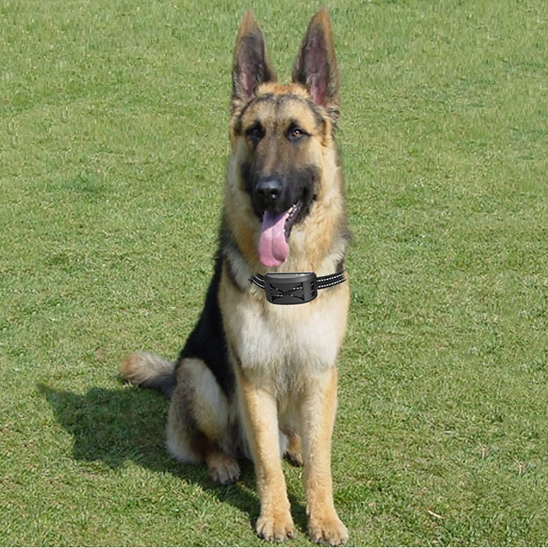 Pro Wireless Dog Fence System with Adjustable Training Collar, 9–240m