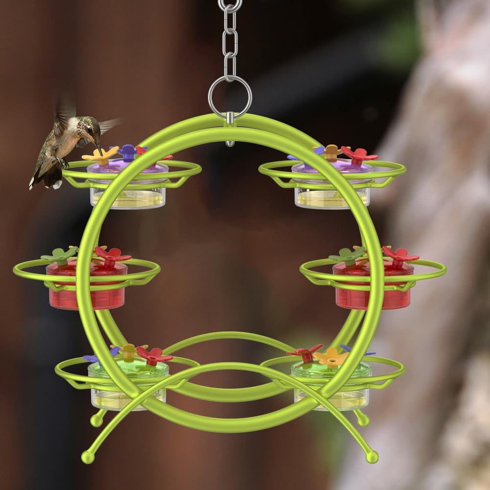 Unique Hummingbird Feeder for Outdoors