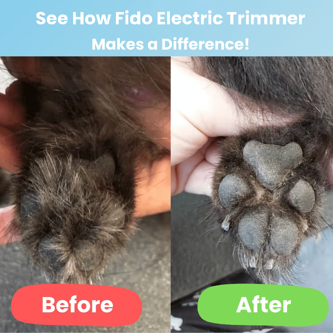 Highendlights Electric Trimmer