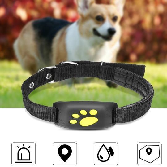 Pet Track master: Gps Pet Tracker