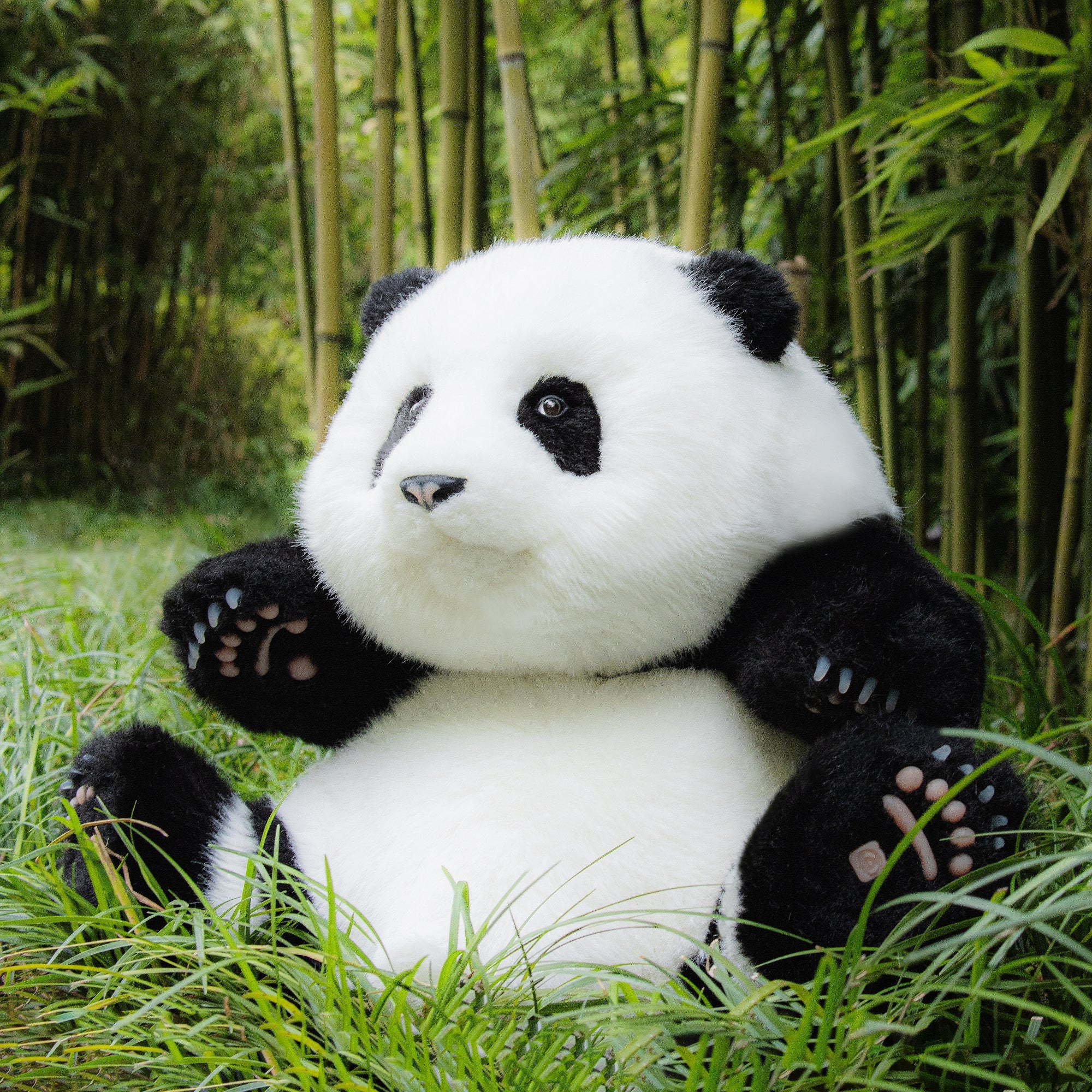 Panda Hehua 4.6lb Plush– Calm Companion Mindful Relax