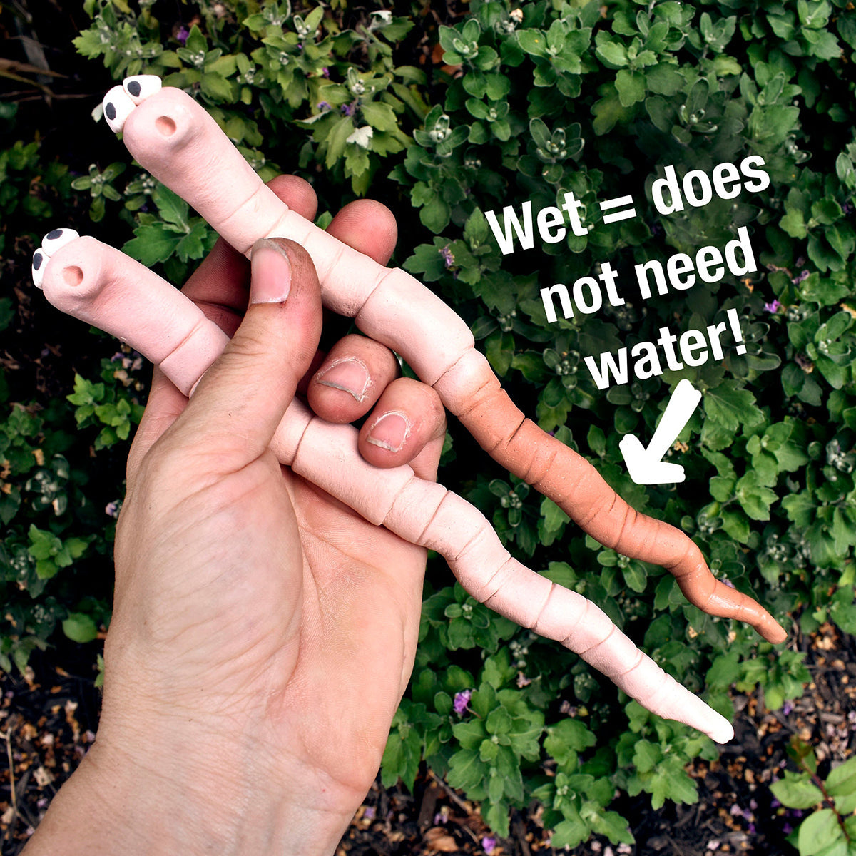 Thirsty Worm Moisture Monitor for Your Potted Plant (2-Pack)