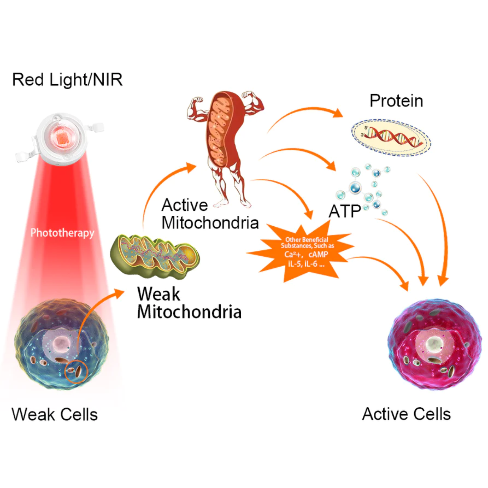 Near Infrared Hand Therapy Gloves – Comfort & Wellness Support for Hands