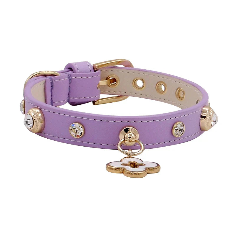 Luxurious Genuine Leather Pet Collars with Charm- Perfect for Chihuahuas, Yorkies, Poodles, Pomeranians
